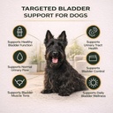 vetriscience-bladder-health-soft-chews-f-5.jpg
