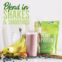 betterbody-foods-organic-plant-based-pro-4.jpg