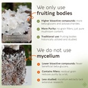 organic-tremella-mushroom-capsules-suppl-4.jpg