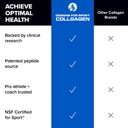 designs-for-sport-collagen-complex-nsf-c-5.jpg