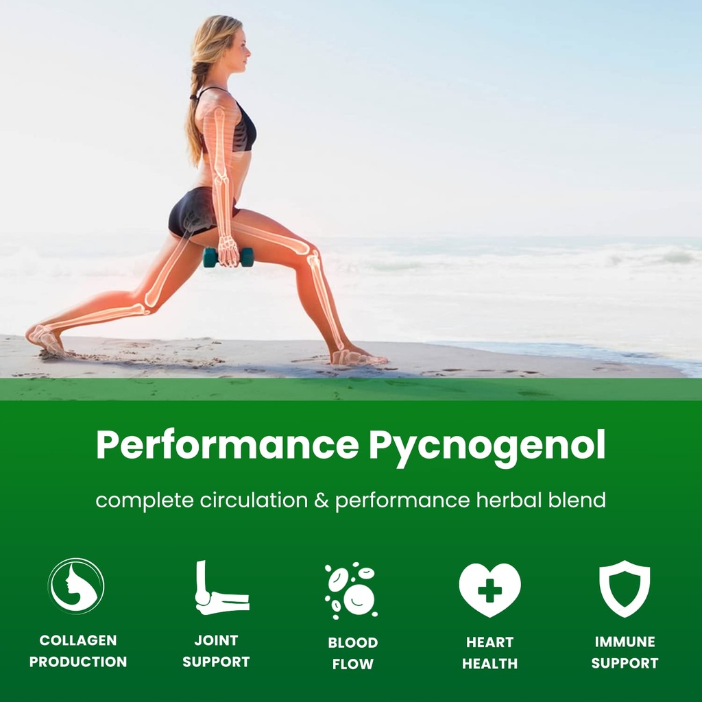 nutrachamps-pycnogenol-french-maritime-p-4.jpg