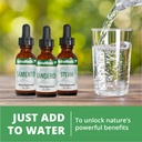 nutramedix-sweet-leaf-stevia-liquid-drop-6.jpg