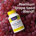 healthy-origins-grape-seed-extract-300-m-4.jpg
