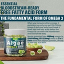 vegan-omega-3-gummies-1000mg-zinc-copper-5.jpg
