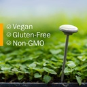 herb-pharm-certified-organic-ginkgo-bilo-6.jpg