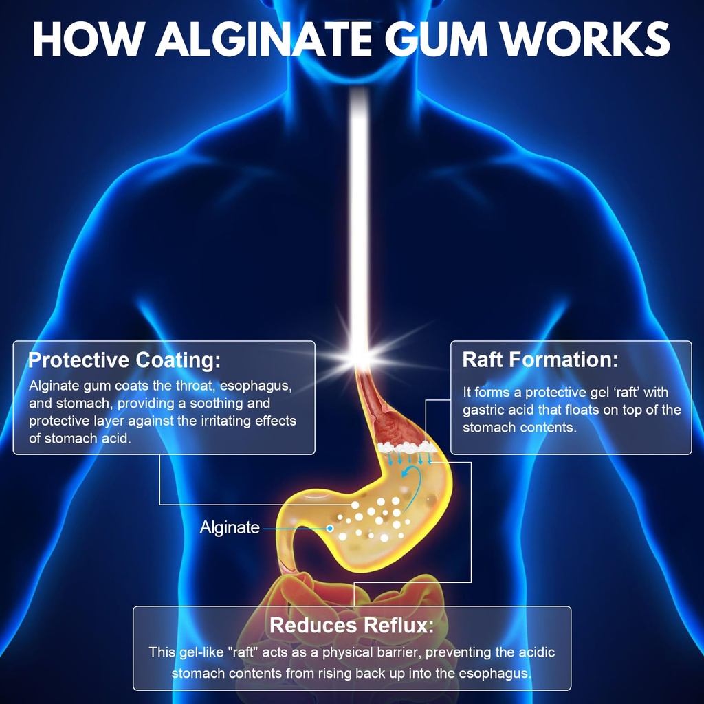 qubit-reflux-chewing-gum-sodium-alginate-4.jpg
