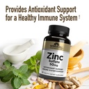windmill-zinc-sulfate-tablets-90-count-4.jpg