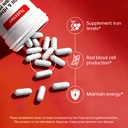 36mg-iron-supplement-with-500mg-beetroot-4.jpg