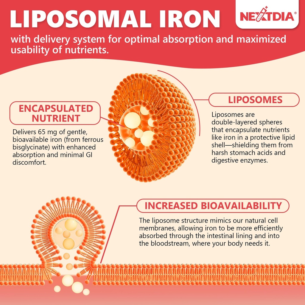 liposomal-iron-supplement-for-women-iron-5.jpg