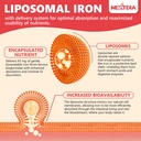 liposomal-iron-supplement-for-women-iron-5.jpg