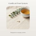 vita4life-iron-supplement-for-daily-supp-6.jpg