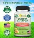 asquared-nutrition-garcinia-cambogia-160-3.jpg
