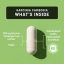naturewise-garcinia-cambogia-60-hca-conc-3.jpg