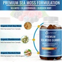o-nutritions-premium-sea-moss-gummies-ma-6.jpg