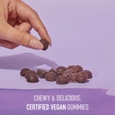 garden-of-life-organics-elderberry-gummi-4.jpg