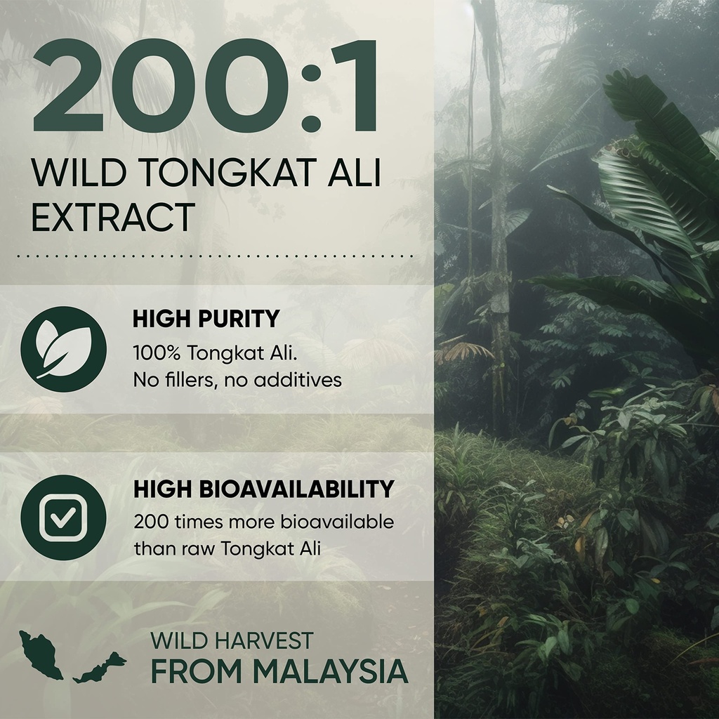 jungle-powders-tongkat-ali-for-men-200-1-4.jpg