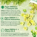 lilicare-sugar-free-omega-3-fatty-acid-2-4.jpg