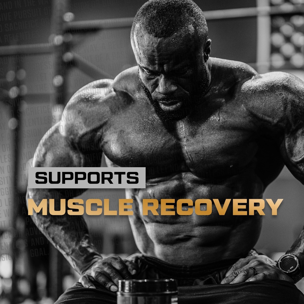 hosstile-glutamine-fermented-l-glutamine-4.jpg