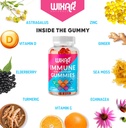wixar-naturals-9-in-1-immune-support-gum-3.jpg
