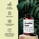 santa-cruz-paleo-creatine-capsules-suppo-3.jpg