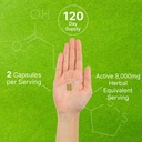 organic-10-in-1-mushroom-supplement-240--5.jpg
