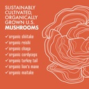 bluebonnet-nutrition-myco-7-mushroom-def-4.jpg