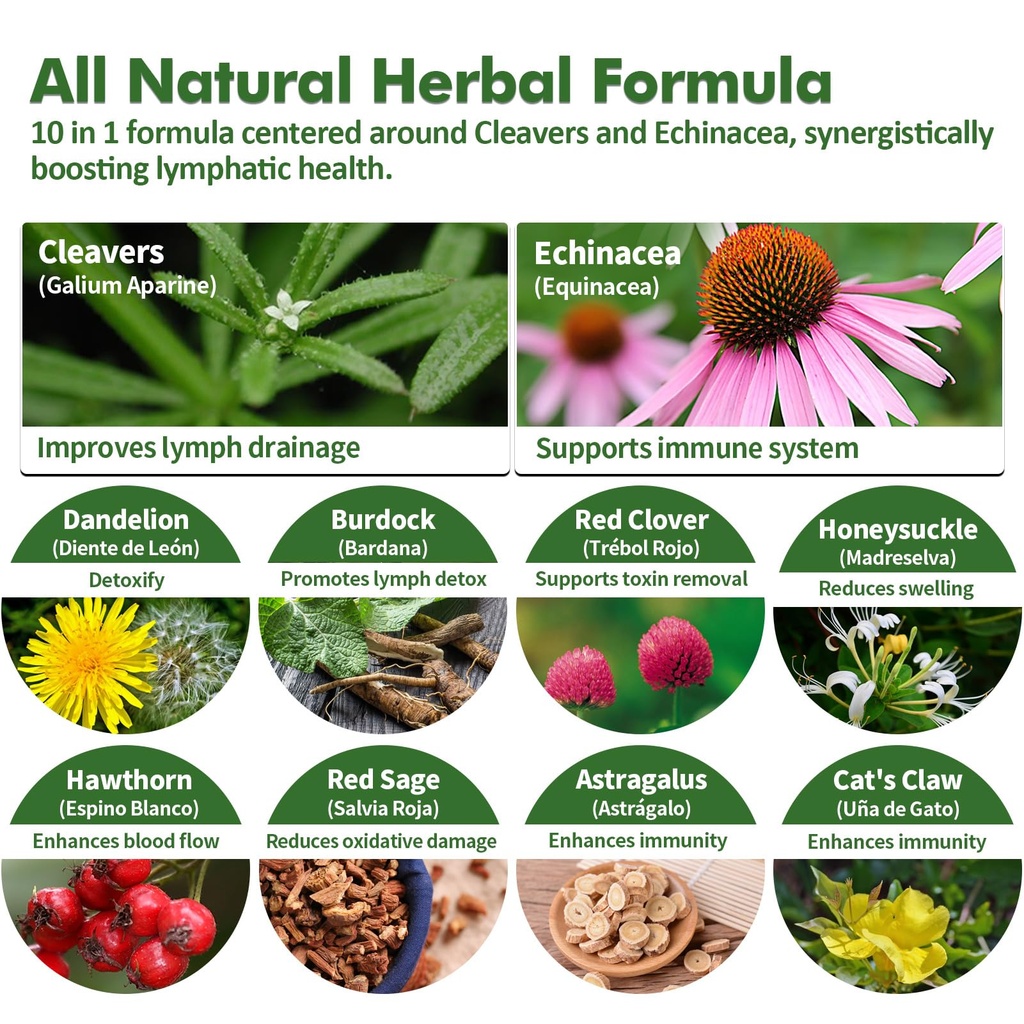 cleavers-lymphatic-drainage-drops-for-ly-4.jpg