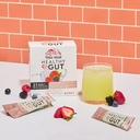 terra-origin-healthy-gut-stick-packs-l-g-4.jpg