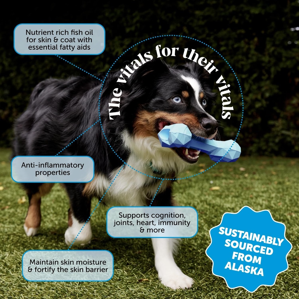pet-honesty-omega-3-fish-oil-supplement--2.jpg