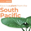 leilo-kava-powered-sparkling-relaxation--3.jpg