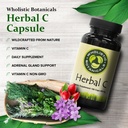 herbal-c-capsule-vitamin-c-supplements-a-3.jpg