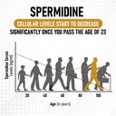 shrink-spermidine-supplements-skin-anti--5.jpg