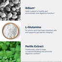 designs-for-health-ibsynergy-support-gi--4.jpg
