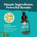 mint-flavored-chlorophyll-liquid-drops---4.jpg