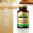 solgar-cinnamon-100-vegetable-capsules-p-5.jpg
