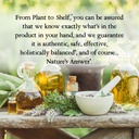 nature-s-answer-echinacea-supports-a-hea-6.jpg