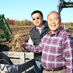hsu-s-sku-0105-4-long-american-ginseng-r-6.jpg