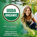 zazzee-usda-organic-ginkgo-biloba-20-1-e-3.jpg