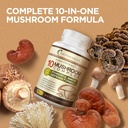10-mushroom-complex-nootropic-brain-supp-2.jpg