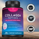 sunergetic-premium-collagen-peptides-cap-5.jpg