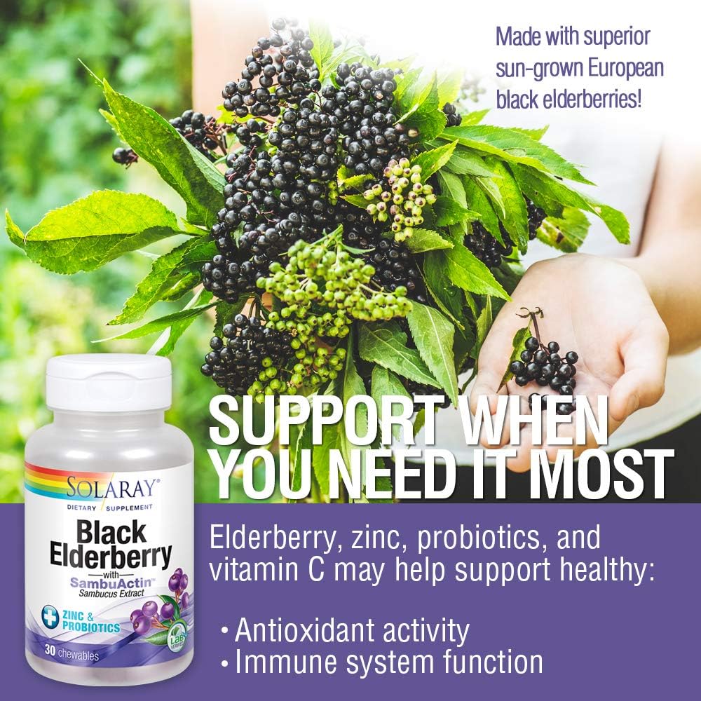 solaray-black-elderberry-extract-with-zi-4.jpg