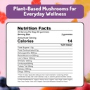 ashwagandha-and-mushroom-gummies-500mg-w-4.jpg