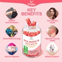 sea-moss-gummies-for-adults-kids-with-ch-2.jpg