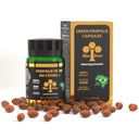 4-packs-of-wax-green-bee-propolis-500mg--2.jpg