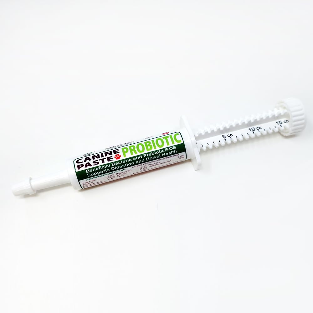 Dogzymes Pâte probiotique Canine Bactéries bénéfiques-enzyme 2.3 Million CFU/gm Saccharomyces boulardii Poudre de miel séché biologique (15 Gram)