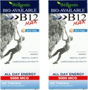 Wellgenix Bio-Available Sublingual B12 Max - Formuliert für hohe Absorption - Nutritional Multivitamin B12, B6, Folate - Fast Dissolve (60 Ct) 2 Pack