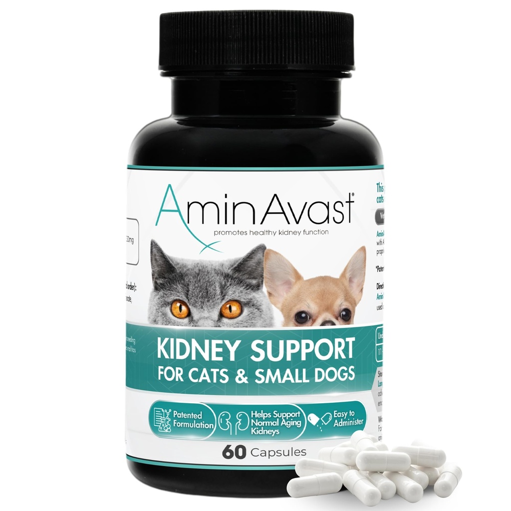 AminAvast Small Dogs & Cat Kidney Support - Promotes Gesunde Nierenunterstützung bei Katzen & Small Dogs - 300mg, 60 Capsule