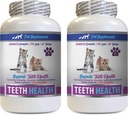 Katze Bad Breath Treats - CAT Teeth Health - Advanced Mouth Health Complex - Immune Boost - Vitamin b12 für Katzen - 2 Flaschen (120 Tabletten)