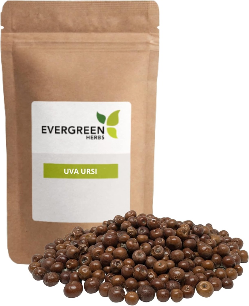 Herbes à feuilles persistantes Pinguica Fruto - Uva Ursi Fruit (8 oz) - Repose-toi pour assurer la fraîcheur!