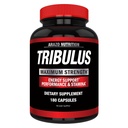 Arazo Nutrition Tribulus Terrestris 1500mg Poudre d'extrait – 180 Capsules - Energy Booster with Estrogen Blocker